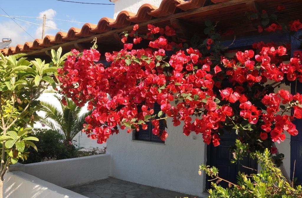 Villa Maria Marathókampos Exterior foto